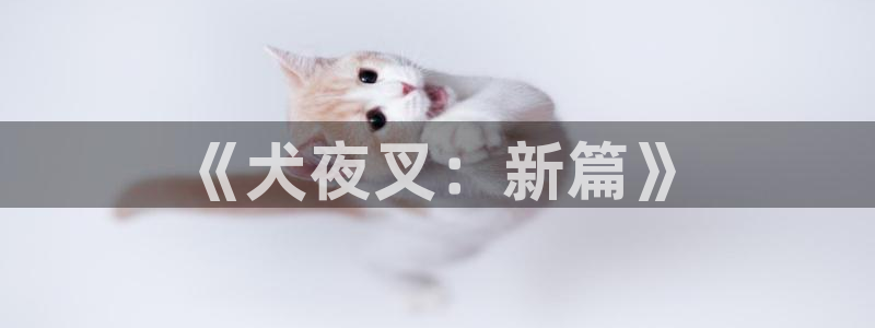 51漫画免费版怎样下载：《犬夜叉：新篇》