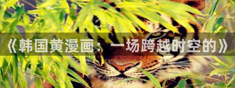 51漫画大全免费阅读：《韩国黄漫画：一场跨越时空的》