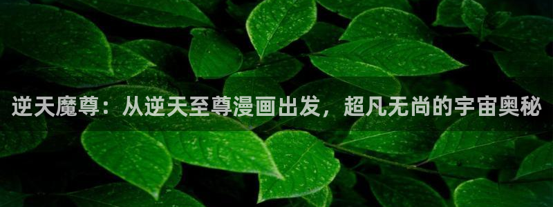 51漫画官：逆天魔尊：从逆天至尊漫画出发，超凡无尚的宇宙奥秘