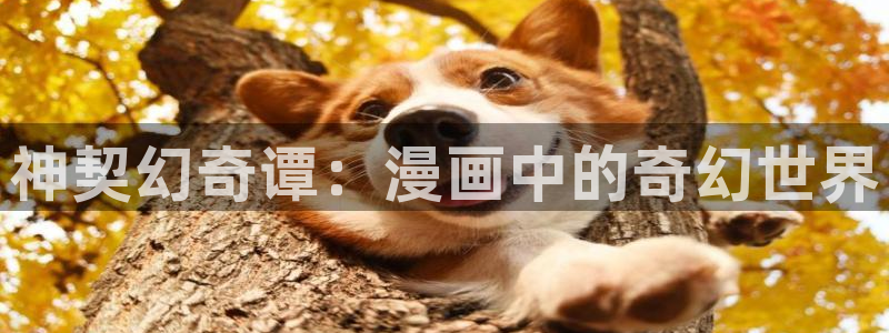 51漫画的网站：神契幻奇谭：漫画中的奇幻世界