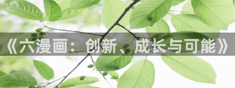 51漫画sss：《六漫画：创新、成长与可能》